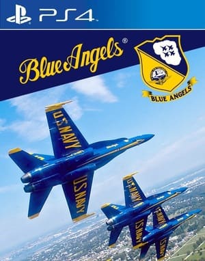 Blue Angels Aerobatic Flight Simulator